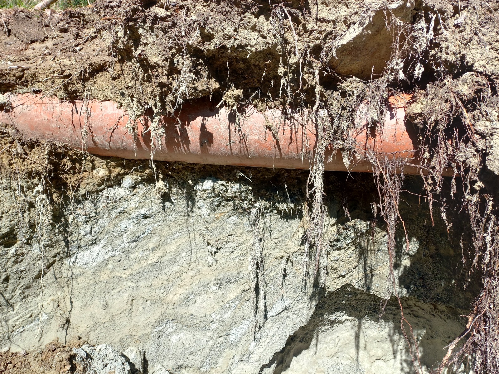 Scheda di dettaglio Ru des Aragnes